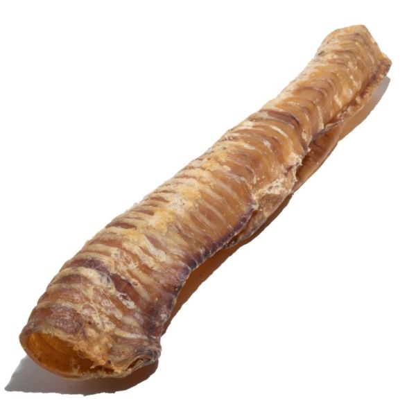 האו ומיאו קנה נשימה ענק שלם 35-40 ס"מ