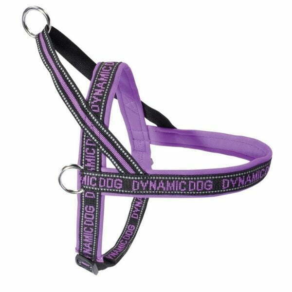 קמון רתמה ניאופרן דינאמיק Camon Dynamic