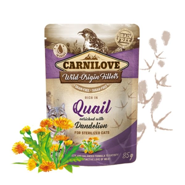 קרנילאב פאוץ' לחתולים עם שליו - 85 גרם