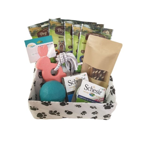 Pup Mix Box - מארז גורים משולב