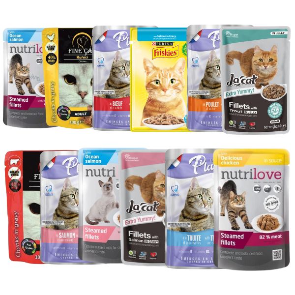 פאוצים איכותיים לחתולים מבצע מיקס טעמים - 24 יח