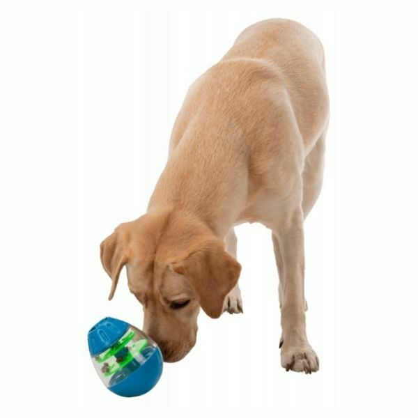 טריקסי צעצוע נחום תקום