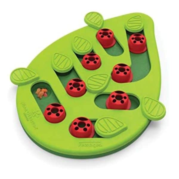 נינה אוטסון - משחק חשיבה לחתולים Bugging Out רמה 2