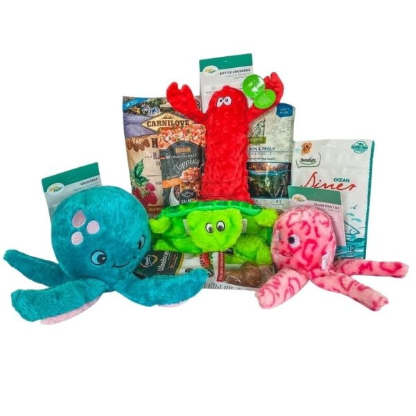 Ocean Kit ערכת אוקיינוס - צעצועים איכותיים לכלבים