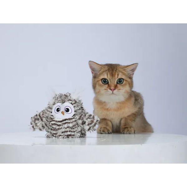 פופוס צעצוע לחתול ינשוף מתנדנד נטען מצייץ אינטראקטיבי