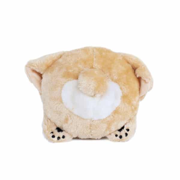 זיפי פוז - לברדור