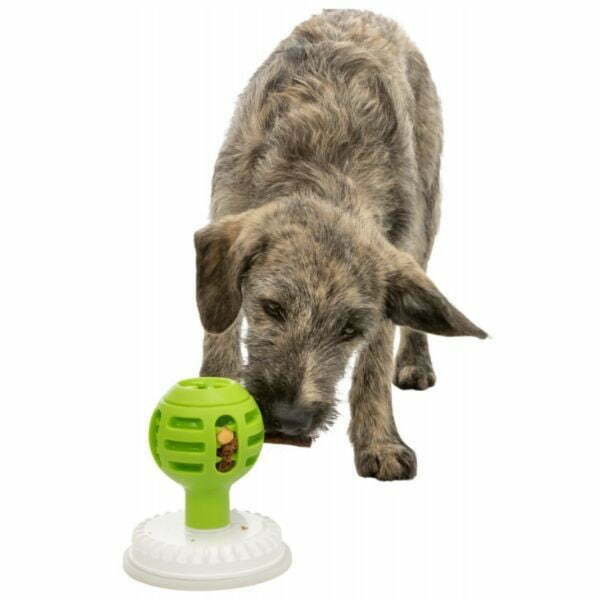 טריקסי כדור ליקוק וחטיפים