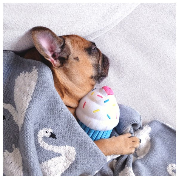 זיפי פוז קאפקייק