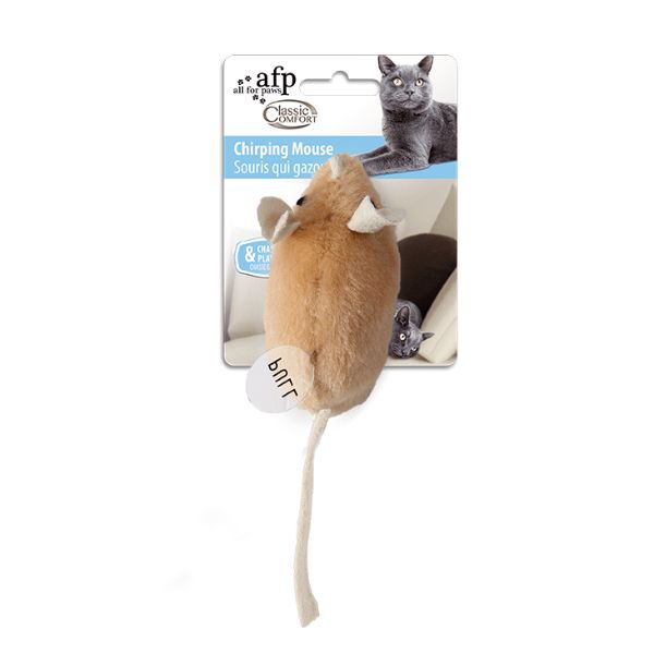 עכבר מצייץ AFP