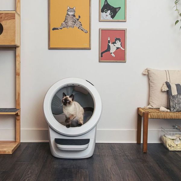 ליטר רובוט 4 לחתולים Litter Robot 4 Black - שחור