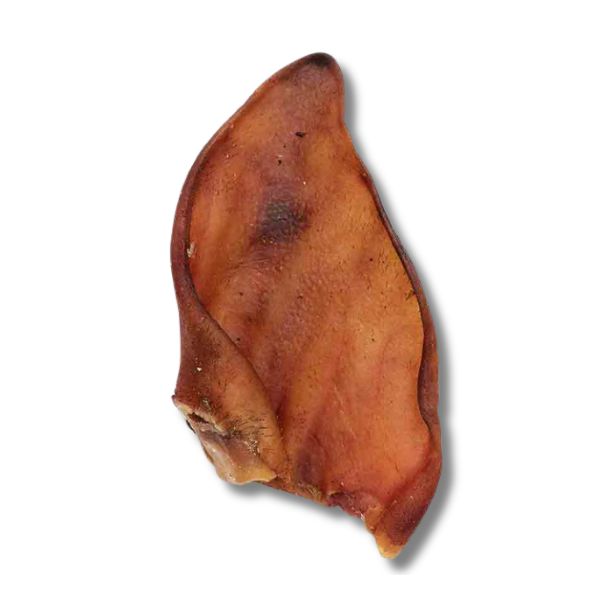 אוזן חזיר מיובשת 100% טבעי גדולה