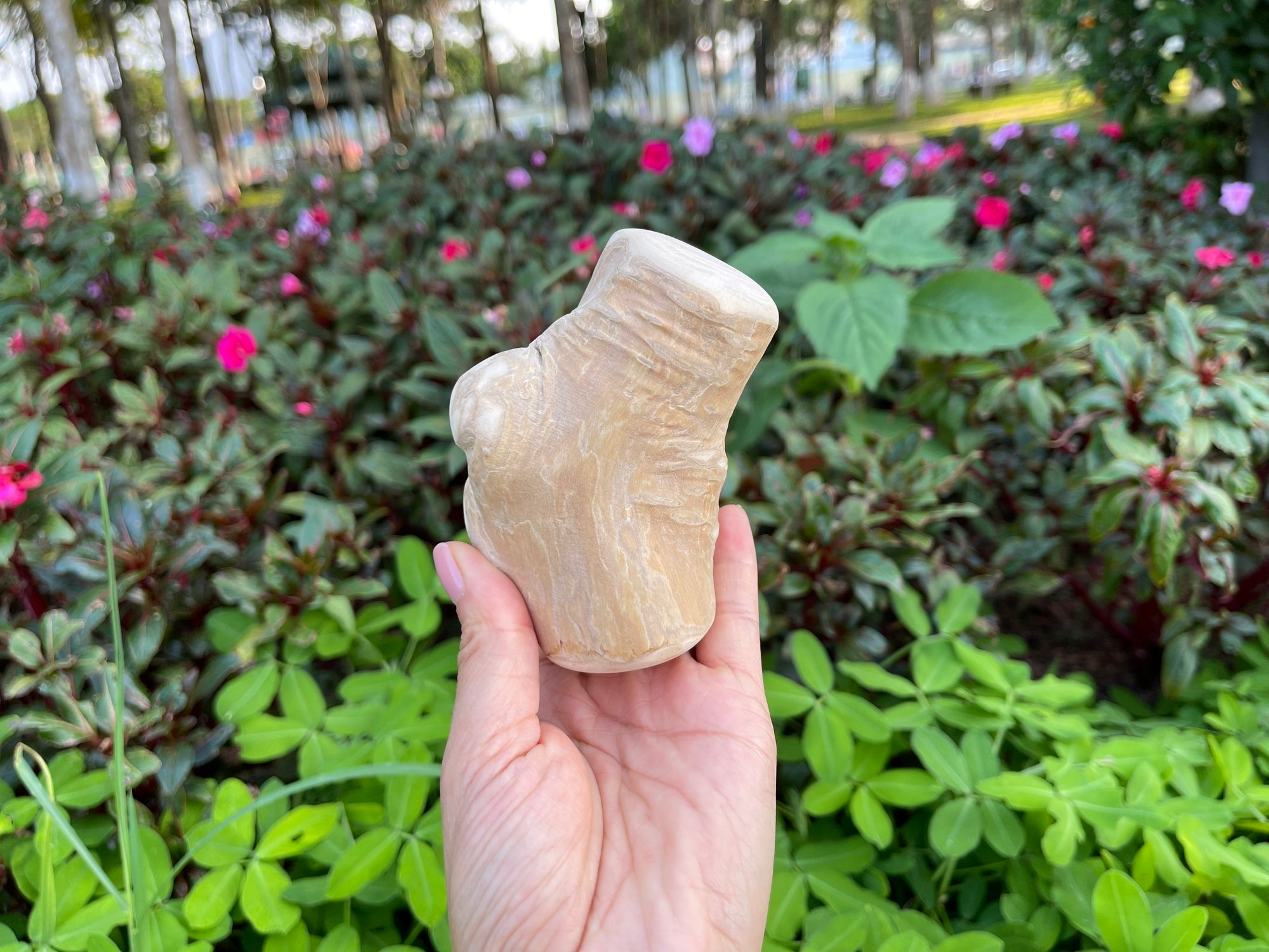 נייצר קיטשן Nature's Kitchen מקל לעיסה עץ קפה 100% טבעי Gorilla Chew - קטן