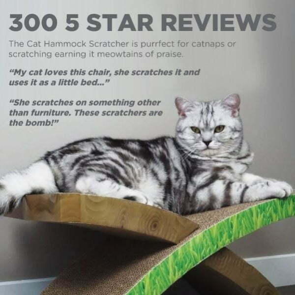 מגרדת Easy Life של Petstages