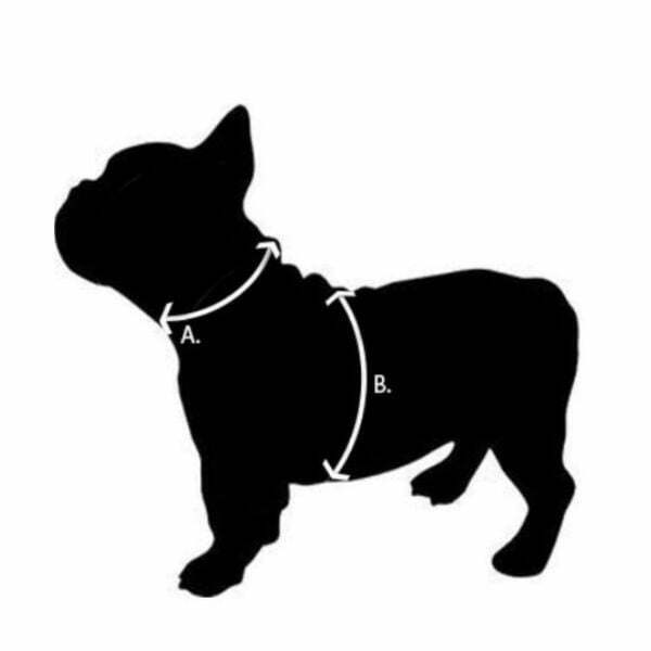 רתמה רד דינגו RedDingo מלאה מרופדת אדום