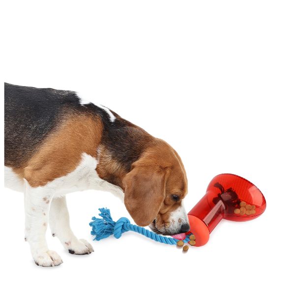 דיספנסר חטיפים בצורת נעל AFP - L