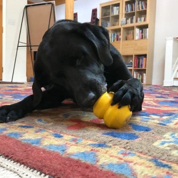 סודה פאפ כדור בורג חטיפים