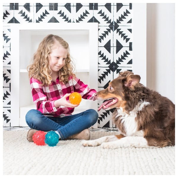 זיפי פוז כדור קשיח מצפצף קטן