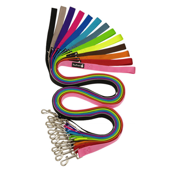 רצועה בסיסית לכלבים פטס פרוג'קט L