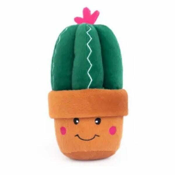 זיפי פוז קרמן הקקטוסית