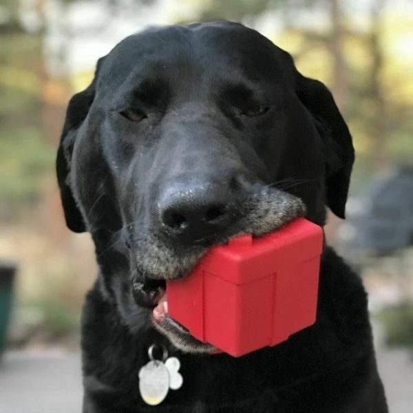 סודה פאפ קופסת מתנה