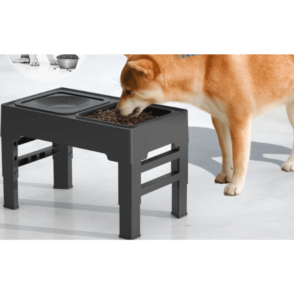מתקן מודולרי קערת האכלה איטית + Anti-Spill לכלבים