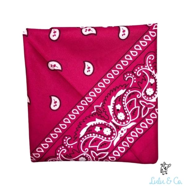 בנדנה לכלבים במגוון צבעים