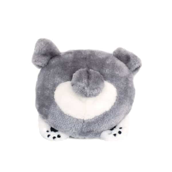 זיפי פוז - פיטבול