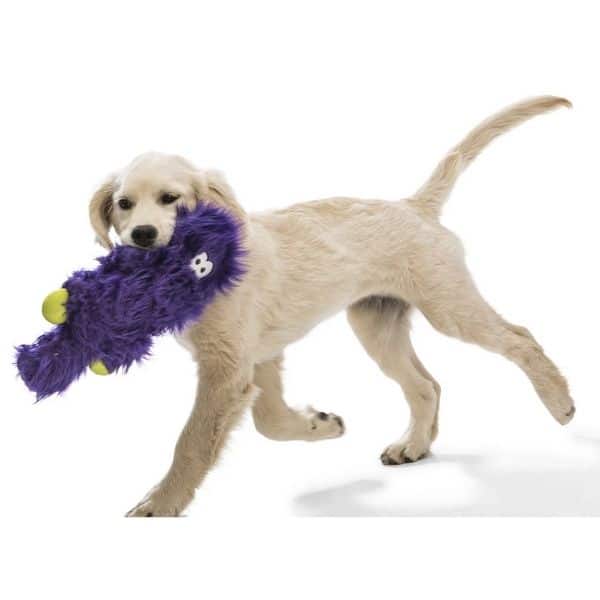 West paw - בובה עמידה במיוחד סנדרס