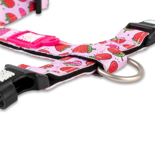 מקס אנד מולי רתמה מרופדת - תותים