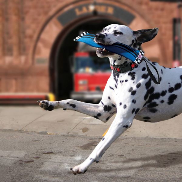 קונג בליסטיק - צינור כיבוי אש עם שרוול בקבוק