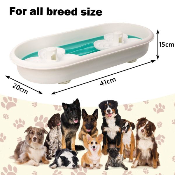 קערת חשיבה מולטי אינטראקטיבית לכלבים  - AFP