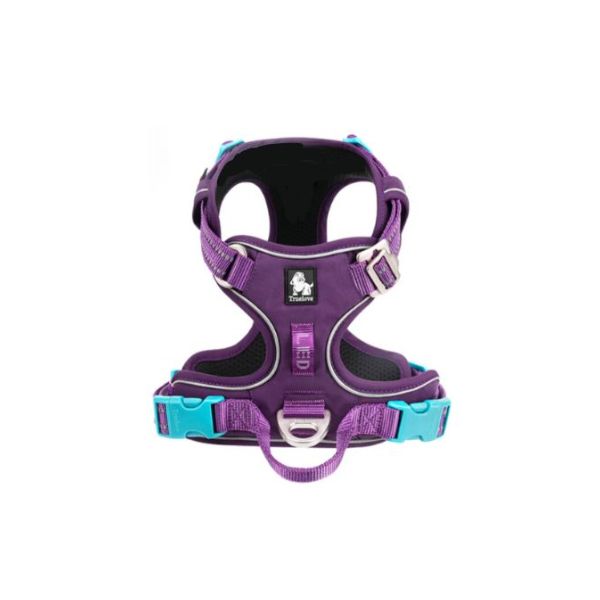 רתמה מלאה מרופדת טרו לאב True Love *דגם משופר* סגול - XS