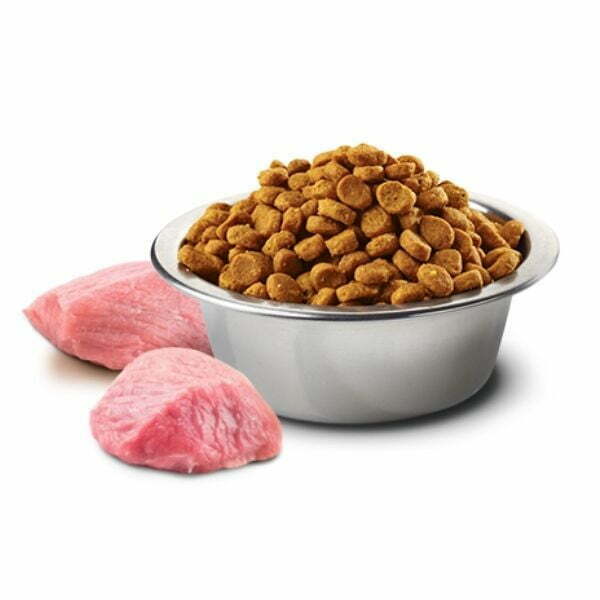 N&amp;D נטורל אנד דלישס - גזע בינוני וגדול כבש, דלעת ואוכמניות - 12 ק"ג