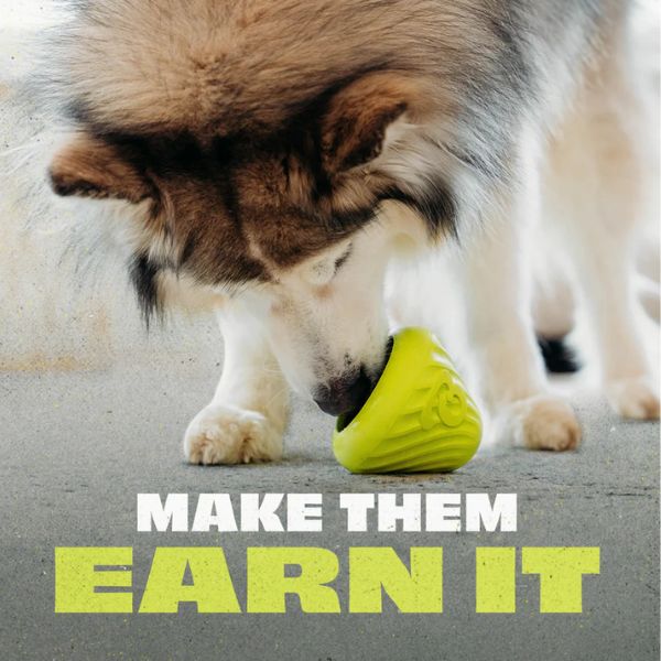 בנבון קונוס האכלה Bounce Cone צעצוע האכלה לכלבים מגומי טבעי