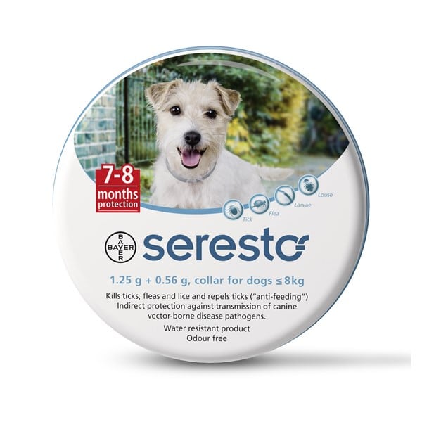 קולר סרסטו מקורי יבואן רשמי נגד קרציות ופרעושים גזע קטן עד 8 ק"ג