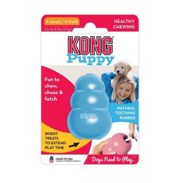 קונג גורים קלאסי