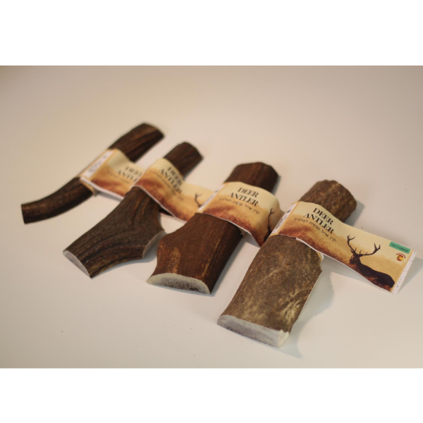 קרן אייל אדום חצויה 100% טבעי - L