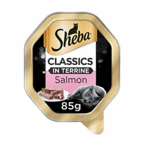 מעדן שיבא פטה סלמון 85 גרם