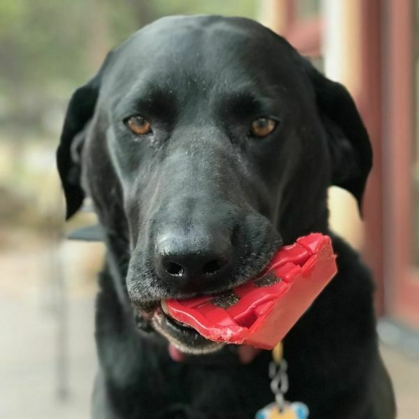 סודה פאפ פאי אדום