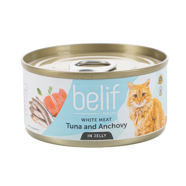 belif בליף מעדן טונה ואנשובי בג'לי - 80 גרם