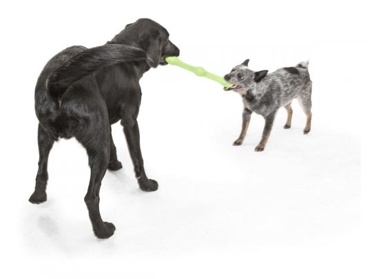 West paw - צעצוע משחק Zwig