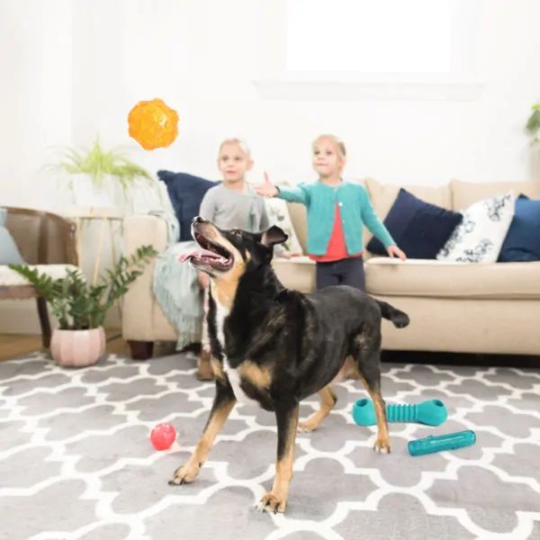 זיפי פוז כדור קשיח מצפצף כחול גדול