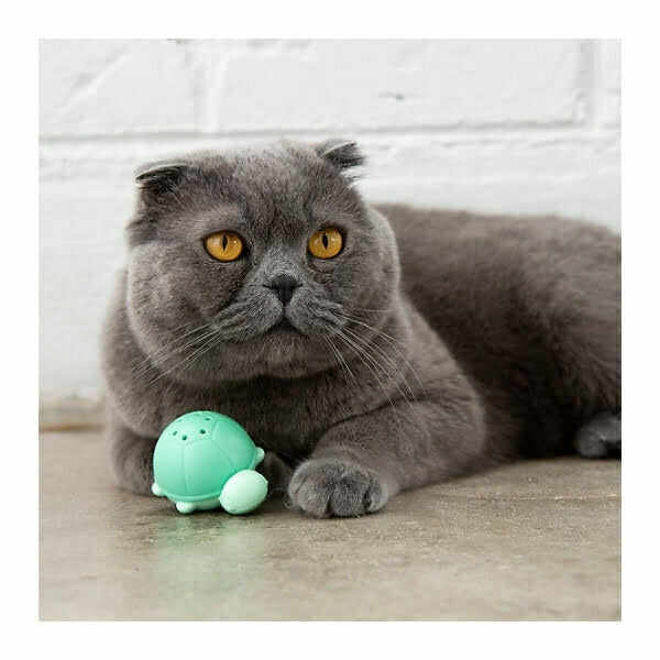 צעצוע צב קטניפ לחתול Pet Stages