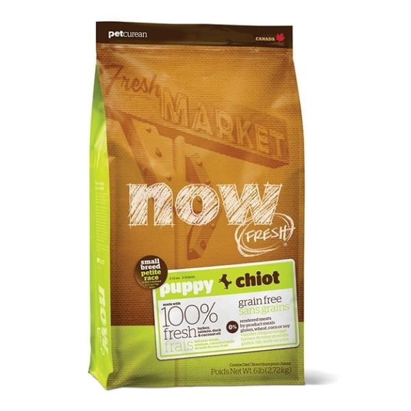 NOW - נאו גורים גזע קטן 2.72 ק"ג