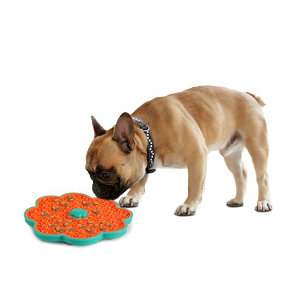 צלחת דיסק ליקוק AFP