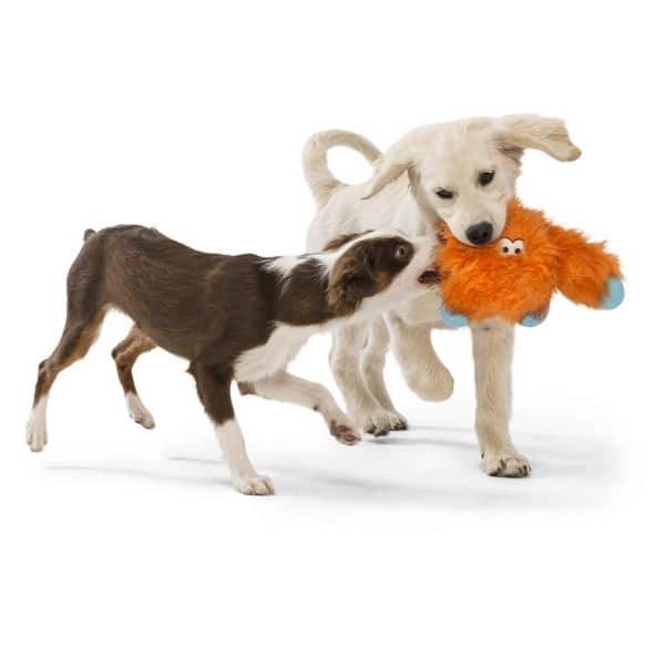 West paw - בובה עמידה במיוחד ג'פרסון