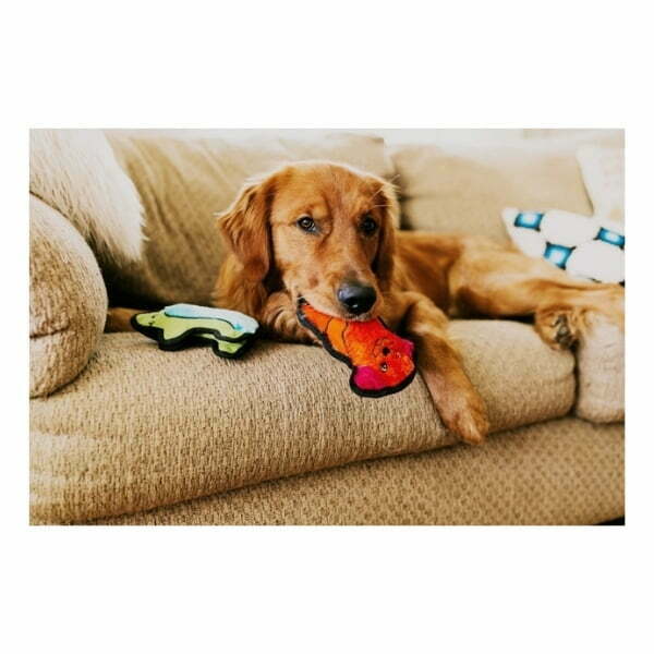 בובת כלב בלתי מנוצחת XS - Outward Hound