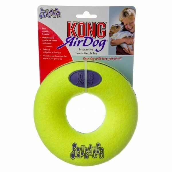 קונג דונט סקוויקר