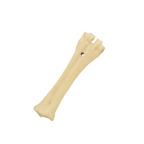 עצם סידן לכלבים - 20 ס"מ