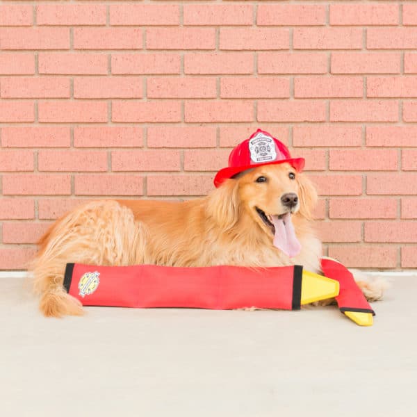 זיפי פוז צינור כיבוי אש